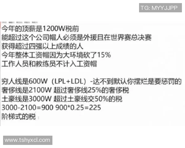 独家解析TES战队配合策略与其他战队的对比分析