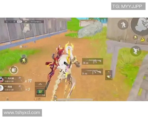 和平精英巨献揭秘WE战队灵活战术与团队配合的奥秘与魅力实时新闻 和平精英巨献揭秘WE战队灵活战术与团队配合的奥秘与魅力实时新闻